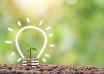 Voices of a Green Future: Conversations Across the Energy Revolution