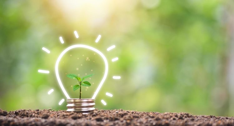 Voices of a Green Future: Conversations Across the Energy Revolution