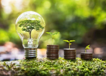 The Rise of Renewable Energy: Powering a Sustainable Future