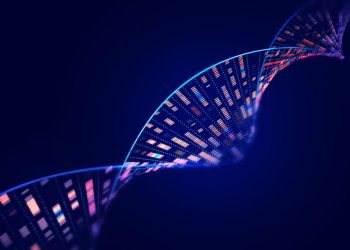 Ethical, Societal, and Environmental Implications of Biotechnology