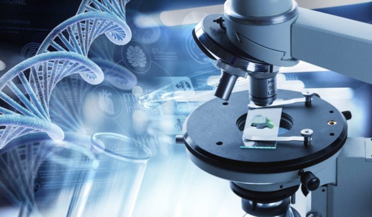 Biotechnology and Healthcare: Revolutionizing Medicine and Treatment